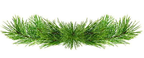 christmas  pine tree branch, xmas holiday evergreen fir or spruce decoration. Web banner template. - Powered by Adobe