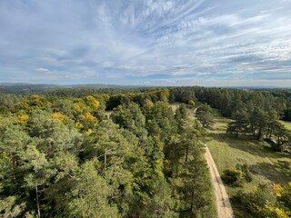 Obraz premium the concept of healthy lifestyle walking along the road going through the green forest under the blue sky