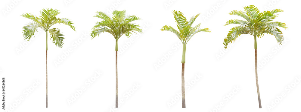 Poster coconut tree isolated on transparent background 3d rendering png