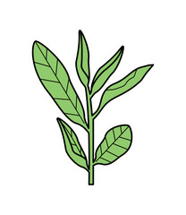 leaves tree icon isolated