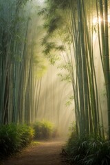 Serene Bamboo Forest at Dawn