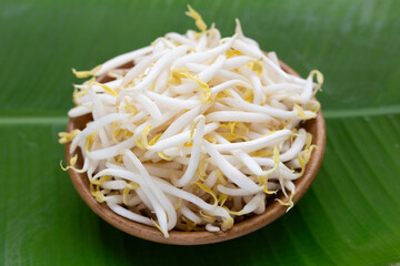 Bean sprouts on white background