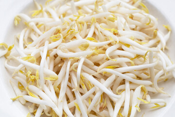 Bean sprouts in white plate