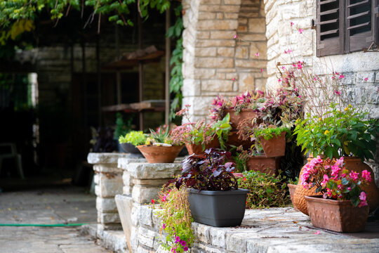 pots in front of house