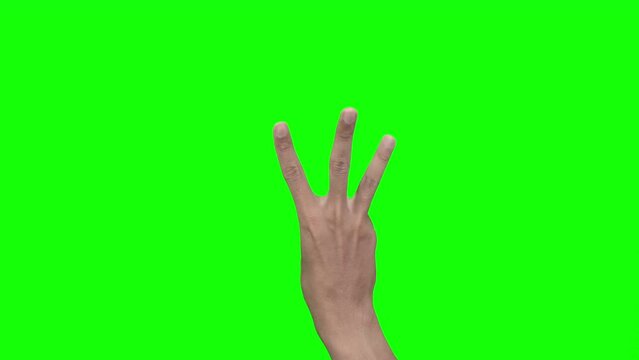 Closeup of male hand isolated on green screen counting from 0 to 5. Man showing fist, then one, two, three, four, five fingers. Mathematical concept.