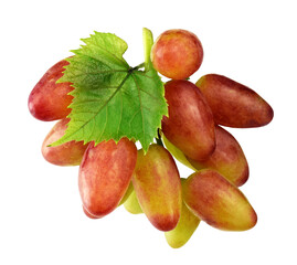 Grape. red grapes. Ripe purple grapes. Fresh grapes. Ripe berries. Wine grapes on transparent, png,