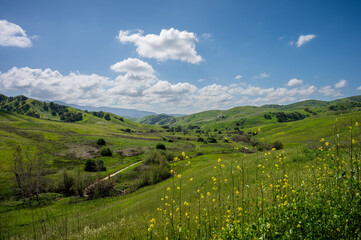 Fototapeta na wymiar beautiful green hills and sky in Chino Hills State Park, California with wildflowers in foreground