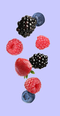 Blackberries, blueberries, strawberry and raspberries falling on blue violet background
