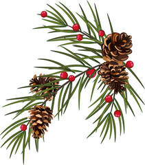 Christmas fir garland, wreath with red berries. Pine wreath. Spruce new year wreath. Decorative . on transparent, png,