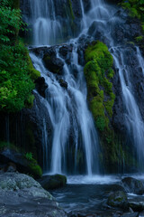 Fototapeta na wymiar 陰に沈む夏の朝の吐竜の滝
