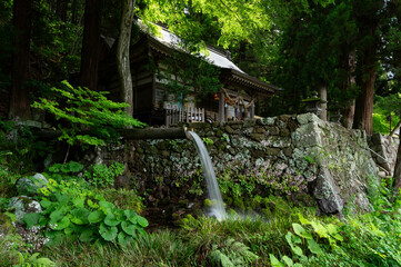 盛夏の大滝神社と樋を落ちる湧水