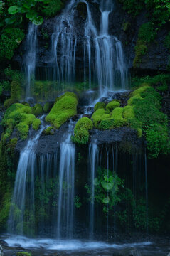 陰に沈む夏の朝の吐竜の滝 © MEADOWSCAPE