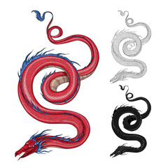 Obraz premium Dragon flying. Chinese red dragon. Vector illustration