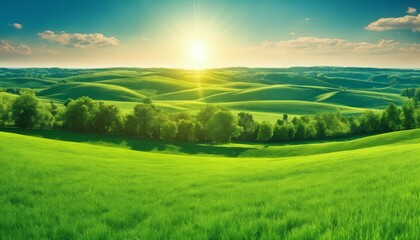 Green field with grass against blue sky with sun, beautiful panoramic natural landscape, spring summer background