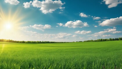 Fototapeta na wymiar Green field with grass against blue sky with sun, beautiful panoramic natural landscape, spring summer background