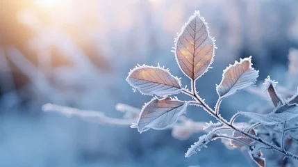 Poster Frozen Leaves  © LadyAI