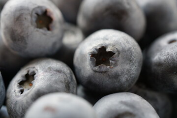 生のブルーベリーのアップ
