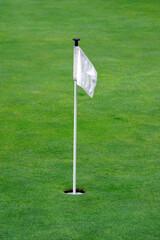 Hole marker flag on a golf putting green