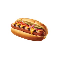 realistic vector art hot dog illustration, isolated on white background