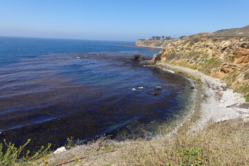 Terranea Trail - Bluffs - Palos Verdes, CA