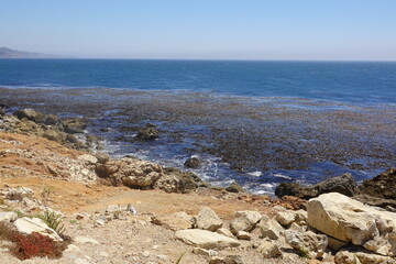 Terranea Trail - Bluffs - Palos Verdes, CA