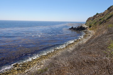 Terranea Trail - Bluffs - Palos Verdes, CA