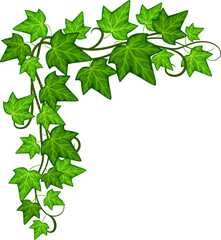 Green ivy corner. Decorative natural leaves border