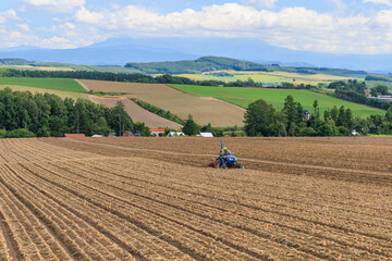 夏の丘に広がる玉ねぎ畑とトラクターで作業する農夫