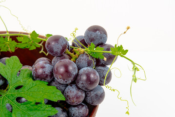 Purple grape Kyoho Grape with leaves on white background