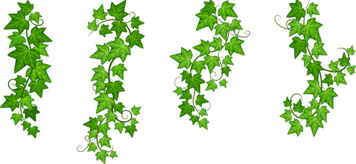 Vines set. Green leaves ivy. Hanging creeper