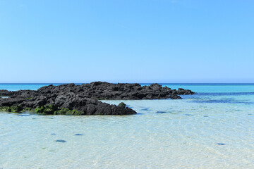 여름에 볼수있는 제주도의 아름다운 해변의 바다와 하늘 풍경