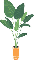 Fototapeta na wymiar Diefenbachia indoor decoration. Green houseplant in ceramic pot