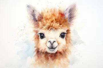 Foto auf Alu-Dibond Adorable alpaca with large eyes, depicted in a fluffy watercolor artwork on a white backdrop. Generative AI © Idris