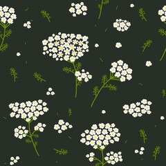 Vector seamless floral pattern. Wild flowers yarrow. Flowers on a dark background. - 644302433