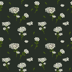 Vector seamless floral pattern. Wild flowers yarrow. Flowers on a dark background. - 644302438