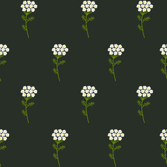 Vector seamless floral pattern. Wild flowers yarrow. Flowers on a dark background. - 644302440