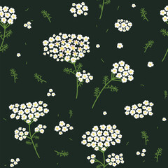 Vector seamless floral pattern. Wild flowers yarrow. Flowers on a dark background. - 644302444