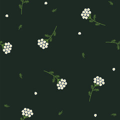 Vector seamless floral pattern. Wild flowers yarrow. Flowers on a dark background. - 644302449