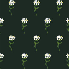 Vector seamless floral pattern. Wild flowers yarrow. Flowers on a dark background. - 644302459