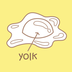 Alphabet Y For Yolk Vocabulary School Lesson Cartoon Digital Stamp Outline