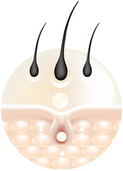 Hyaluronic acid hair and skin solutions, white collagen serum drop into skin cells.