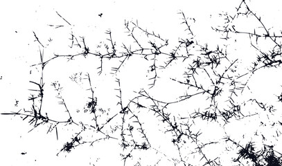 black and white tree black color on white background, black and white, texture, effect, grunge, tree, vector