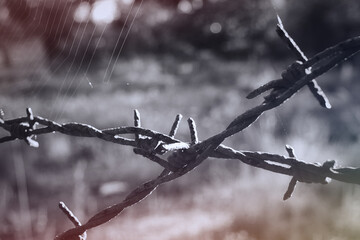 barbed wire on a fence -  sky - prison - old - military - security - closeup - rusted - lines -...