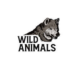 wolf head wild animal vector for flag or logo icon draw in vintage style