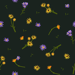 Vector seamless floral pattern. Wildflowers on a dark background. - 644311883