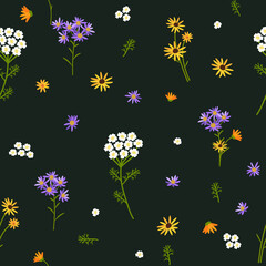 Vector seamless floral pattern. Wildflowers on a dark background. - 644311884