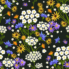 Vector seamless floral pattern. Wildflowers on a dark background. - 644311887