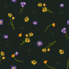 Vector seamless floral pattern. Wildflowers on a dark background. - 644311894