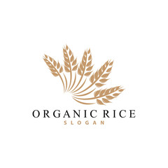 Obraz premium Wheat Grain Rice Logo, Simple Design Organic Vector Illustration Icon Template