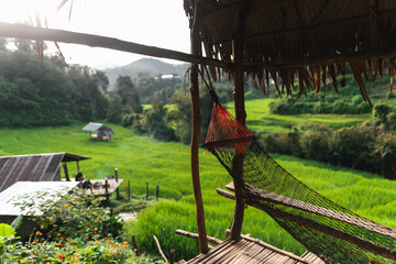 Cradle at the rice field view hut